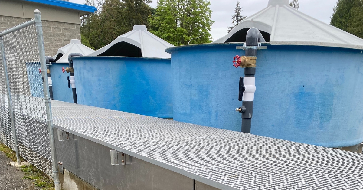 Custom Aluminum Walkway for Fisheries and Oceans Canada at Qualicum Hatchery